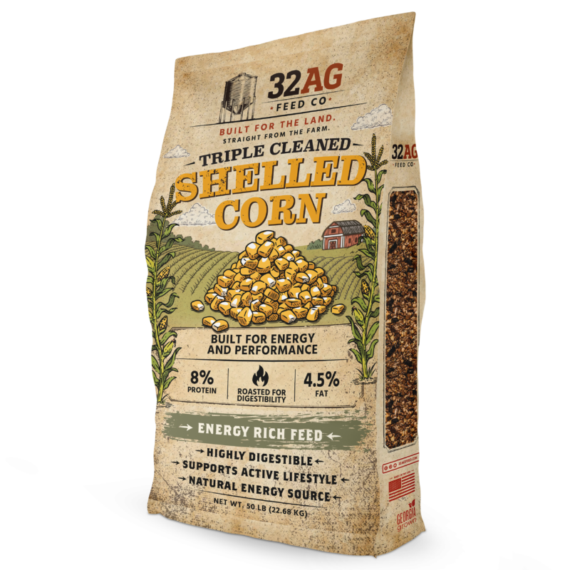 Triple Cleaned Shelled Corn